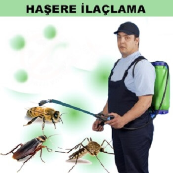 Boztepe Böcek İlaçlama